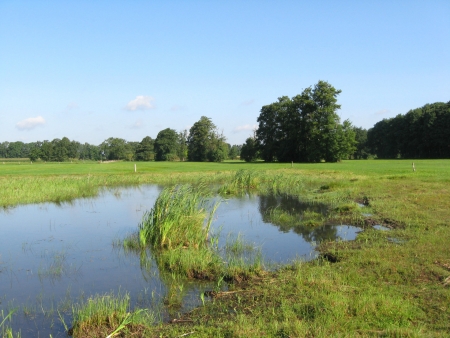 Kartierungen werden im Bereich der Kommunen Hövelhof, Paderborn und Bad Lippspringe vorgenommen